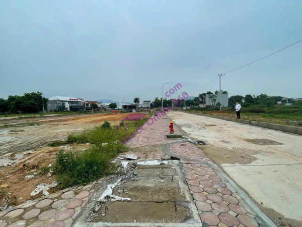 BÁN ĐẤT ĐẤU GIÁ TÂN TRUNG CHÙA, HIỀN NINH, SÓC SƠN, HÀ NỘI CHỈ NHỈNH 1.6 TỈ
