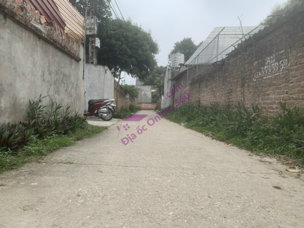 Bìa làng Đường Yên-Xuân Nộn đường 5m giá cực đẹp