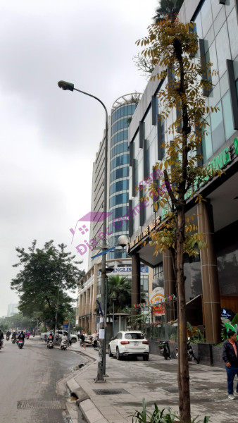 A tòa nhà phố Trần Khát Chân 100m2*7T, thang máy, 17 tỷ+, 22 phòng DT