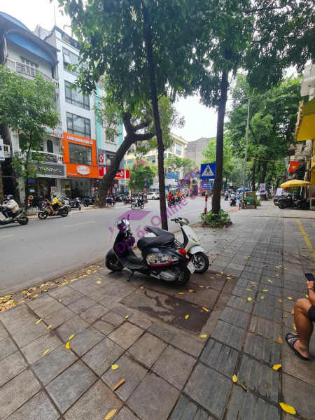 💥 Shop Villas VIP Khu đô thị Ciputra, Phú Thượng, Tây Hồ, 450m2 5T MT