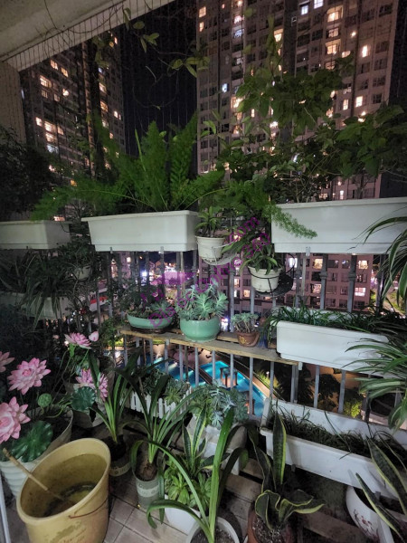 Bán nhanh căn hộ 2 PN, 80m2 tại Yên Hòa Codominium 259 Yên Hòa, 3,5 tỷ
