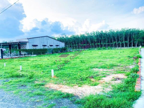 Cực HOT : Đất Nền
Rộc B, Thạnh Đức, Gò Dầu, Tây Ninh Giá Chỉ 900tr