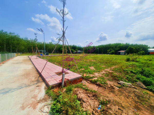Cực HOT : Đất Nền
Rộc B, Thạnh Đức, Gò Dầu, Tây Ninh Giá Chỉ 900tr