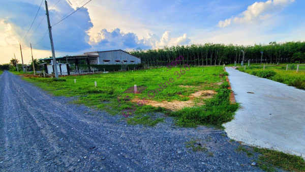 Cực HOT : Đất Nền
Rộc B, Thạnh Đức, Gò Dầu, Tây Ninh Giá Chỉ 900tr