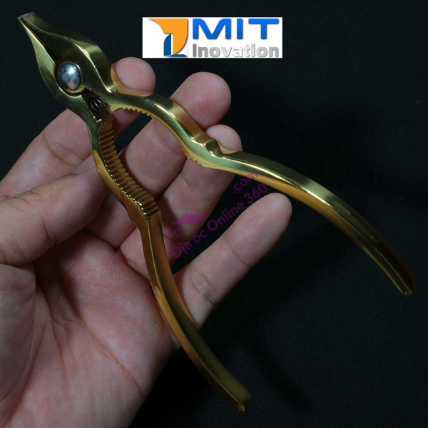 Dụng Cụ Tách Sò Huyết inox Nguyên Khối 2009