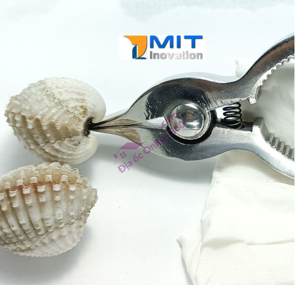 Dụng Cụ Tách Sò Huyết inox Nguyên Khối 2009