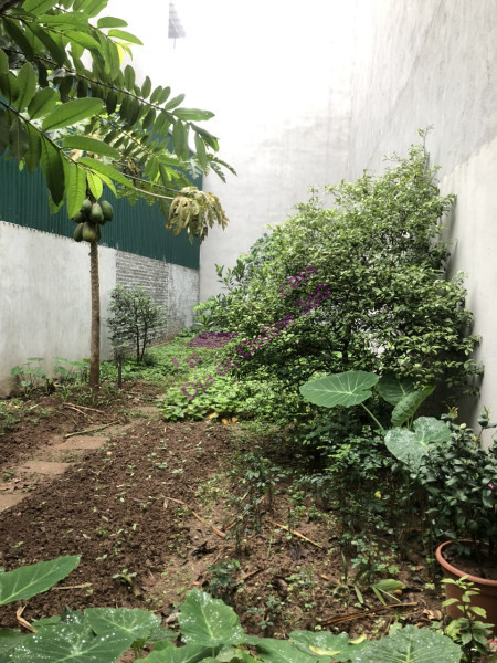 Bán nhà Mặt phố Nguyễn Văn Linh, Vỉa hè, KD, 125m2, chỉ 71 tr/m2.
