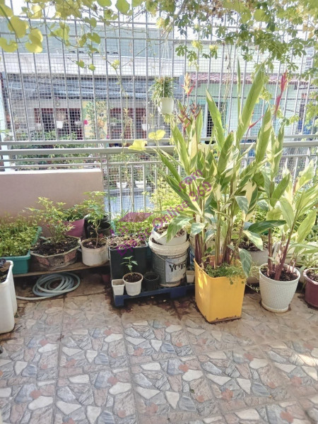 Chốt nhanh nhà rẻ 15.5 x 40m Lương Văn Can Quận 8 TP. Hồ Chí Minh chỉ 23.8