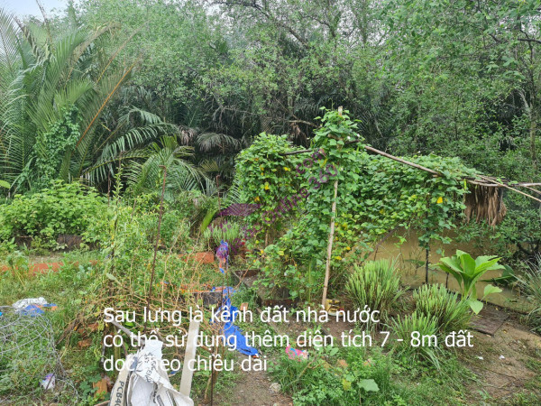 Bán nhà mặt tiền 113 Vườn Chuối, Phường 4, Quận 3 34ty 0933660119