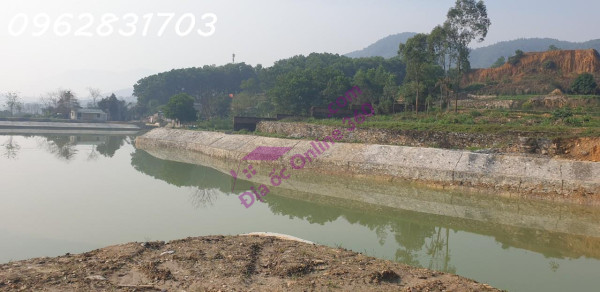 chủ cần tiền bán 1111m có 955m thổ cư trục chính giá rẻ tại phú mãn