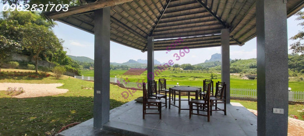 chủ cần tiền bán 1111m có 955m thổ cư trục chính giá rẻ tại phú mãn