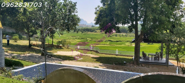 chủ cần tiền bán 1111m có 955m thổ cư trục chính giá rẻ tại phú mãn