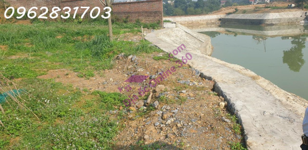 chủ cần tiền bán 1111m có 955m thổ cư trục chính giá rẻ tại phú mãn