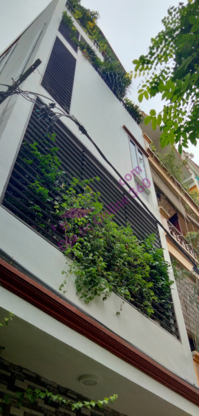 Căn hộ 30 triệu/m2 - phố Hàm Nghi hội tụ tinh hoa 116m2 - 3PN