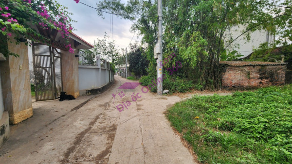 Hiện gia đình cần tiền để giải quyết công việc nên chủ muốn sang lại hồ