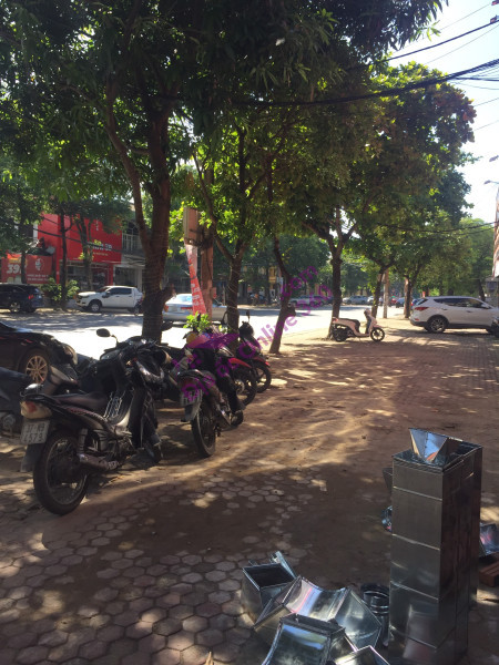 Hiện gia đình cần tiền để giải quyết công việc nên chủ muốn sang lại hồ