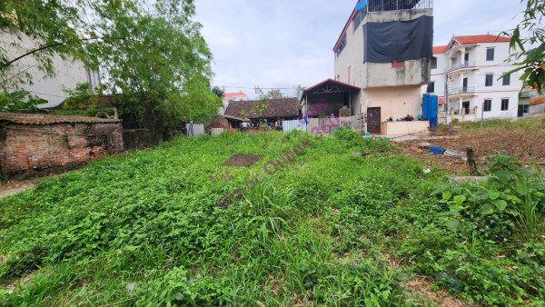 Hiện gia đình cần tiền để giải quyết công việc nên chủ muốn sang lại hồ