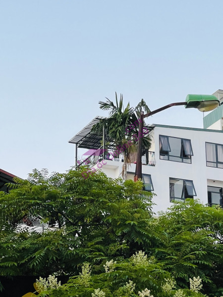 Bán nhà đẹp Hoàng Hoa Thám, quận Ba Đình, DT 95m2, 2 tầng, giá có thương