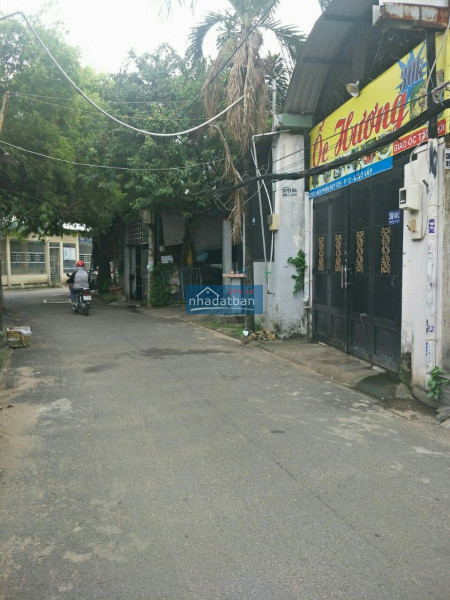 Nhật Minh 0334689147   Nhà Gò Vấp 120m2 5 tầng đường lớn 12m