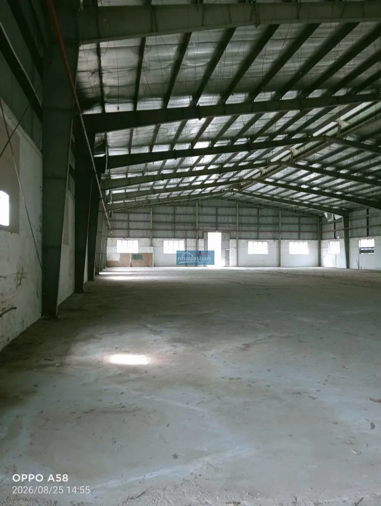 Cho thuê 3.000m² kho xưởng tại xuân nộn, đông anh – pccc vách tường, xe container đỗ cửa