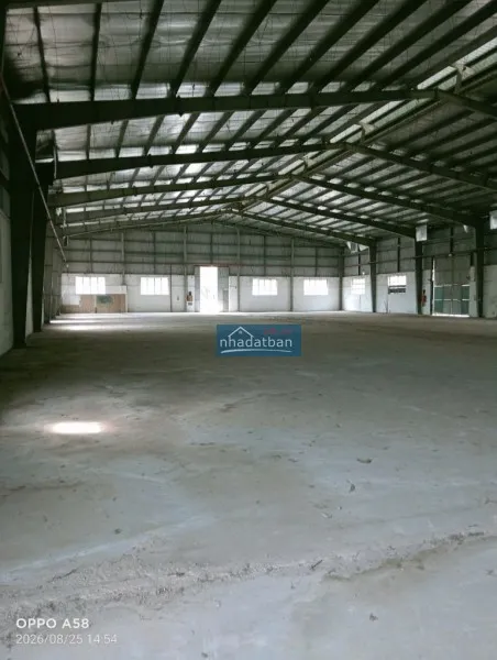 Cho thuê 3.000m² kho xưởng tại xuân nộn, đông anh – pccc vách tường, xe container đỗ cửa