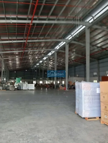 Cho thuê 3.000m² kho xưởng ql 1a, thường tín – pccc tự động