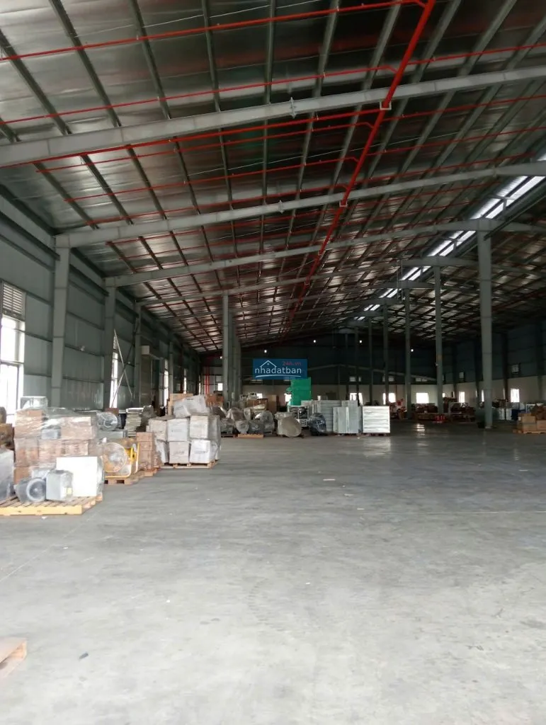 Cho thuê 3.000m² kho xưởng ql 1a, thường tín – pccc tự động