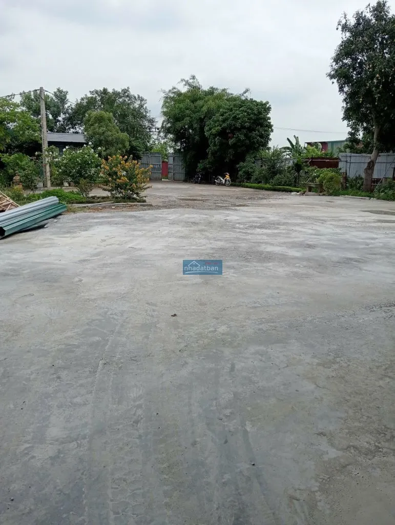 Cho thuê kho xưởng khung thép hộp 700m2  nguyên khê, đông anh, giá chỉ 55k/m²