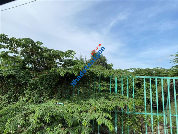 Xưởng mặt tiền số 2A Phan Văn Trị, Phường 10, Gò Vấp