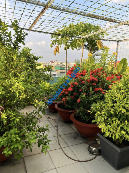 Nhà Trung Tâm Q12_ 5 Tầng Thang Máy - Ngang 5x20m_9,5 tỷ.