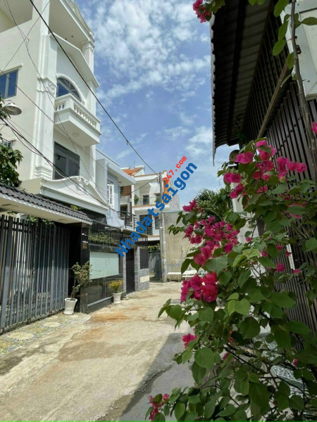 Bán Lô Đất Mặt tiền Hẻm 116 Đường Số 11 - Trường Thọ - Thành Phố Thủ Đức