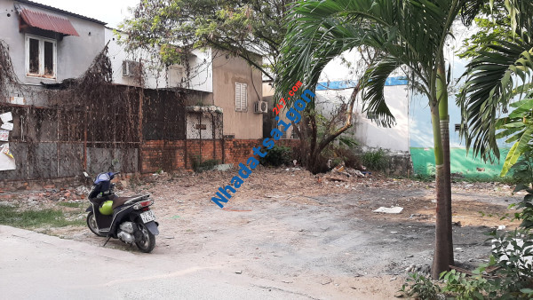 Bán Lô Đất Mặt tiền Hẻm 116 Đường Số 11 - Trường Thọ - Thành Phố Thủ Đức