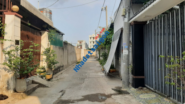 Bán Lô Đất Mặt tiền Hẻm 116 Đường Số 11 - Trường Thọ - Thành Phố Thủ Đức