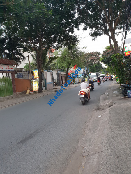 Bán biệt thự liền kề 1999m², Khổng Tử, Bình Thọ, Thủ Đức, 158 tỷ