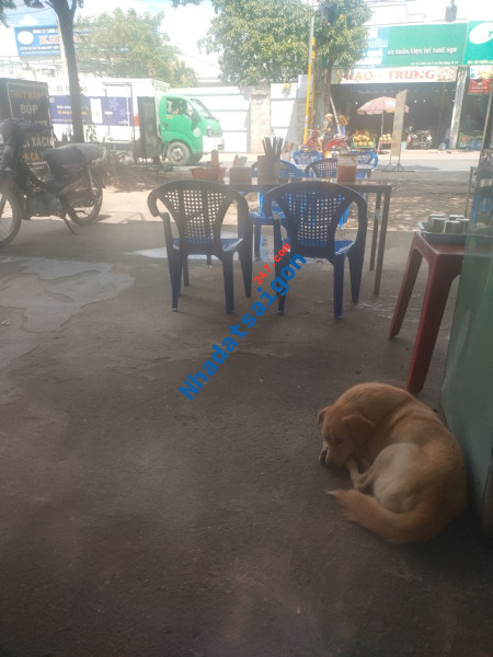 Cần bán đất xây dựng hẻm 2/ và nhà cấp 4 ngăn 7 phòng cho thuê và đang có khách thuê