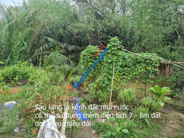 Bán nhà mặt tiền 113 Vườn Chuối, Phường 4, Quận 3 34ty 0933660119