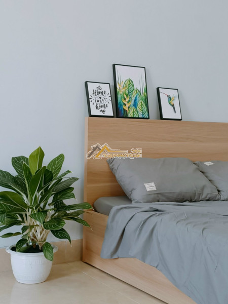 Cho thuê chdv cao cấp ở đường nguyễn thái bình.