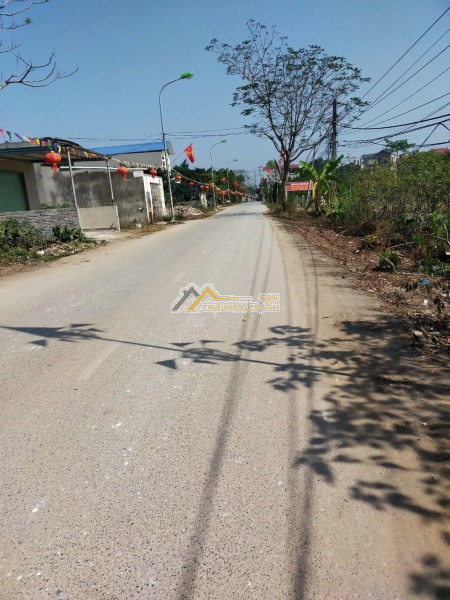 Cho thuê nhà cấp bốn làm kho xưởng - 150m mặt tiền 10m - xe công tránh