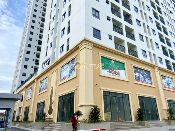 cho thuê căn 1pn chung cư lái thiêu thuận an view sông
