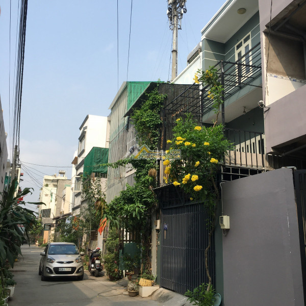 Cho thuê nhà nguyên căn quận 9, phường phú hữu, 7tr, 4pn, 3wc