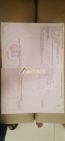 Đất chính chủ giá cực rẻ - vị trí đẹp tp hội an - quảng nam