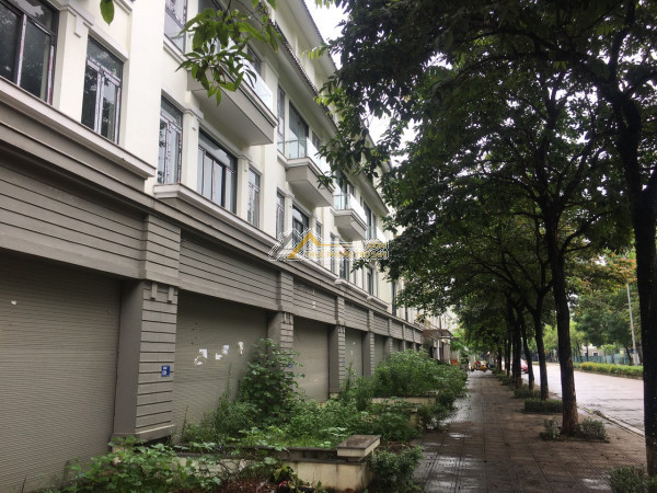 Cho thuê 10 căn liền kề geleximco cạnh nhau, 1200m2, mặt tiền 60m, 13tr/1 căn