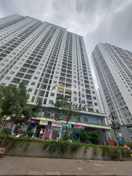 Mời thuê kho tại phố trung kính dt 200m2, mt 15m giá 20 triệu