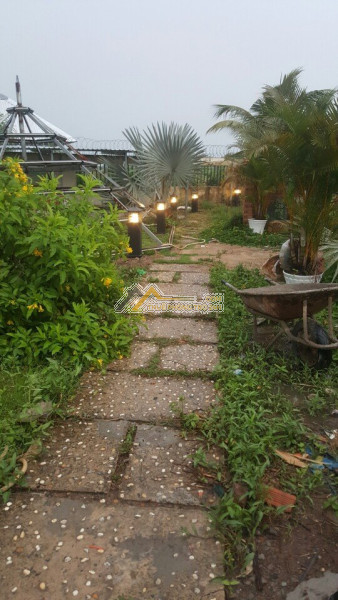 Chính chủ cần cho thuê gấp biệt thự nhà vườn đẹp tại huyện bình chánh tp hcm