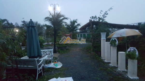Chính chủ cần cho thuê gấp biệt thự nhà vườn đẹp tại huyện bình chánh tp hcm