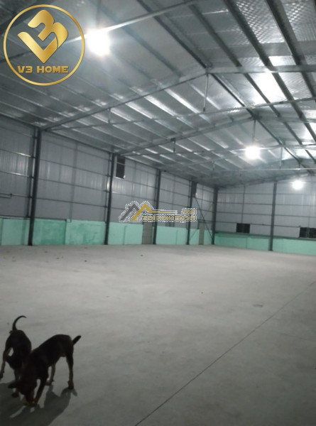 X211. v3 home cho thuê kho xưởng tại kiến an