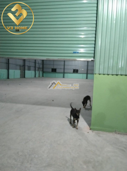 X211. v3 home cho thuê kho xưởng tại kiến an