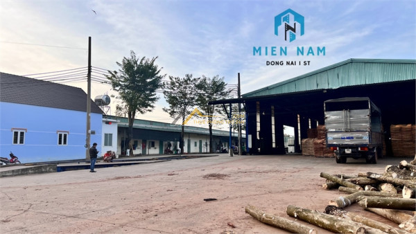 XT539 cho thuê xưởng ngoài KCN với thiết kế hiện đại khung thép, an toàn SX lâu dài