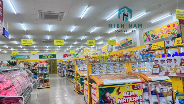Cho thuê toà nhà 5 lầu mặt tiền nguyễn ái quốc có hầm xe