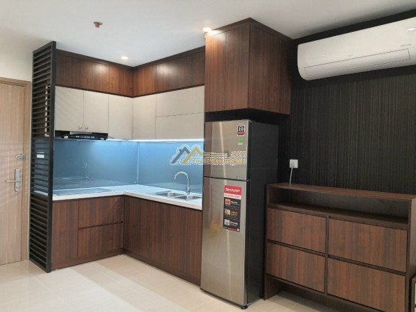 Cty chuyên cho thuê hơn 1000 căn: stu - 1pn, 2pn, 3pn shophouse